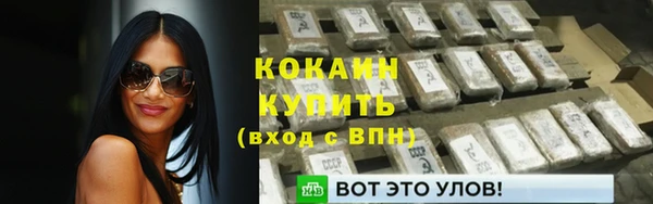 крисы Дмитров