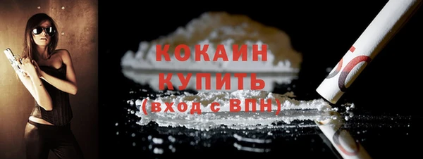 амф Гусь-Хрустальный