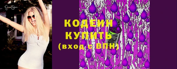 хмурый Дмитровск