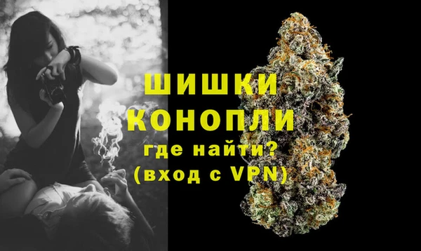 крисы Дмитров