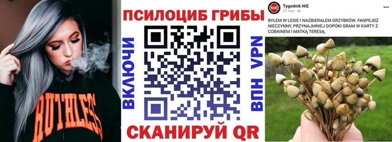 Галлюциногенные грибы MAGIC MUSHROOMS что такое darknet клад Новая Ладога MEGA онион
