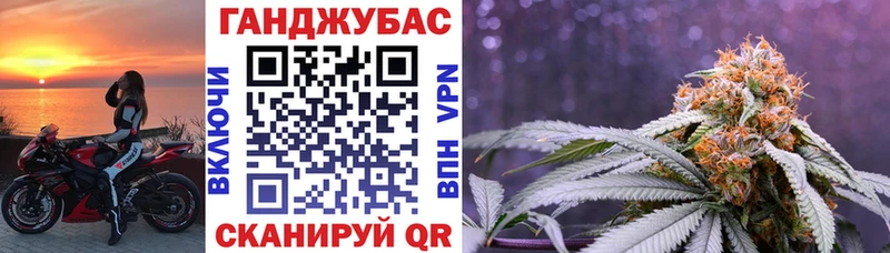 omg   нарко площадка какой сайт  Шишки марихуана тримм  Новая Ладога 